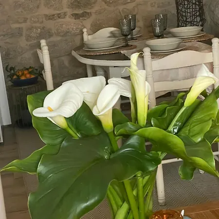 Ferienhaus Casita Puerto Maritimo Vilanova de Arousa