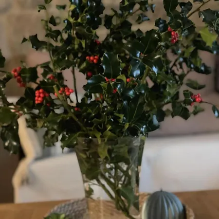 Casa vacanze Casita Puerto Maritimo